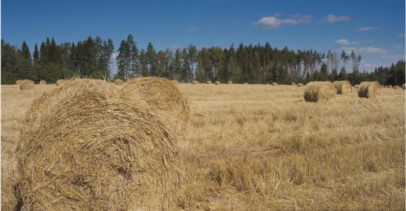 農業種植廢棄物處理